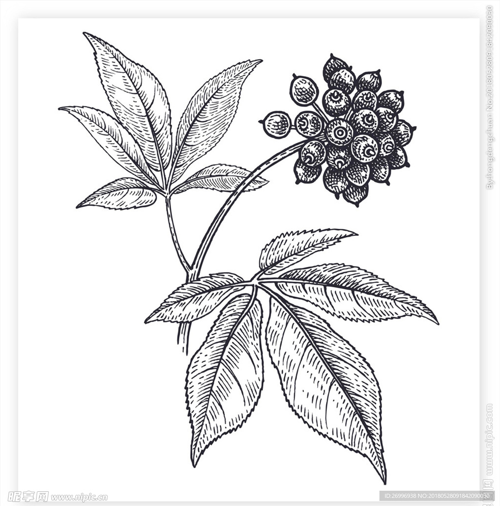 矢量盘栽植物