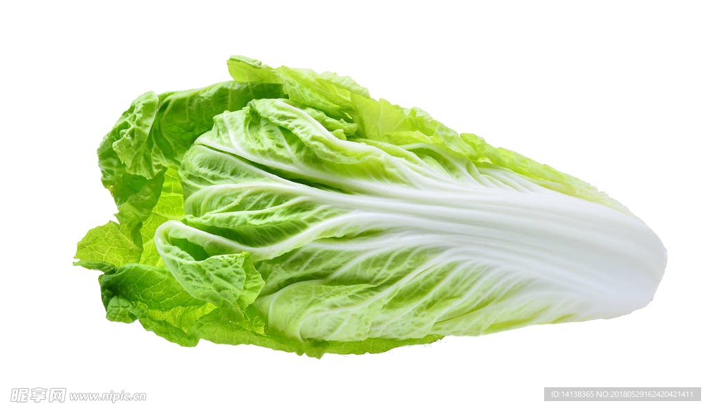 白菜