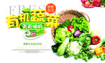 蔬菜海报