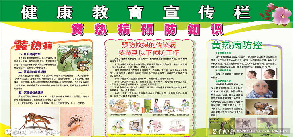 黄热病预防知识