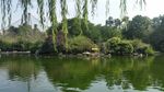 水塘
