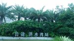 海南岛