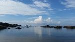 大海