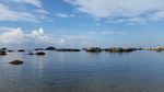 大海