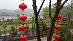 灯笼
