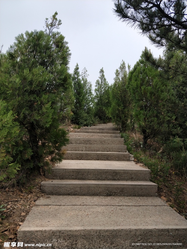 上山小路