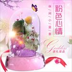 永生花唯美休闲粉色心情玻璃罩送