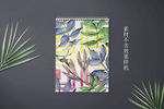 ins热带绿植物叶子网背景图案