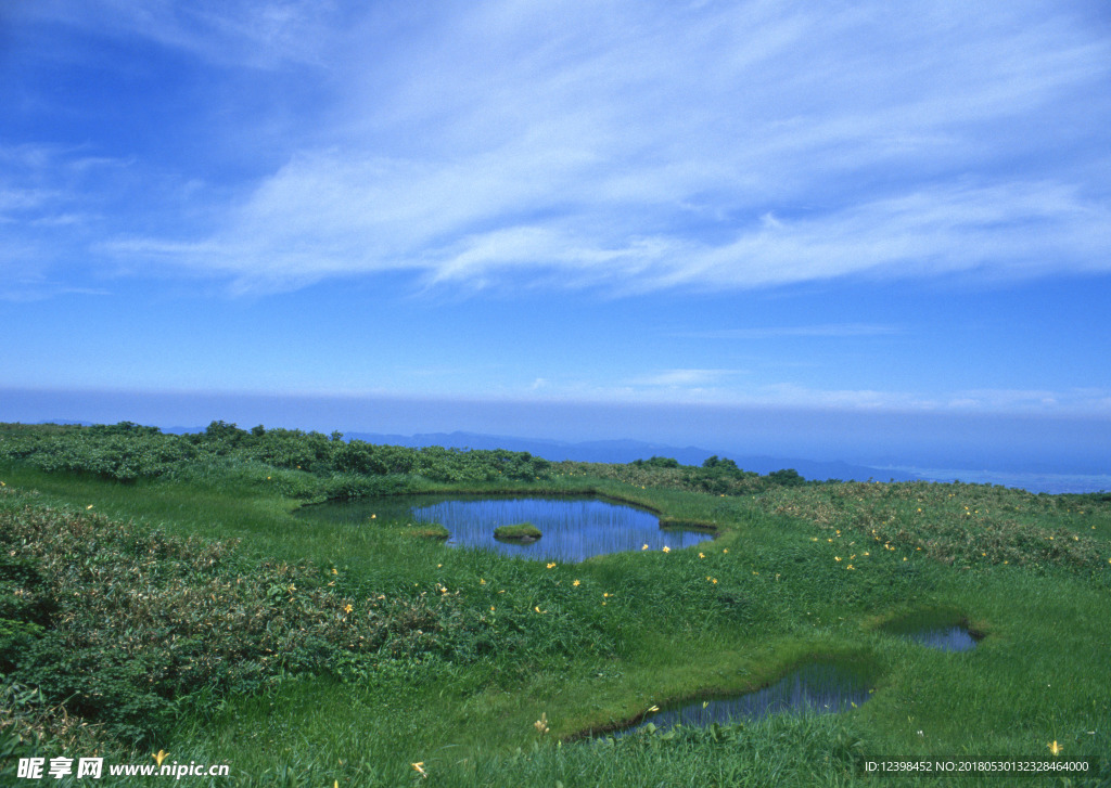 草原湿地