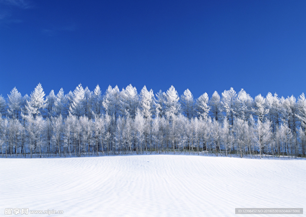 茫茫雪原