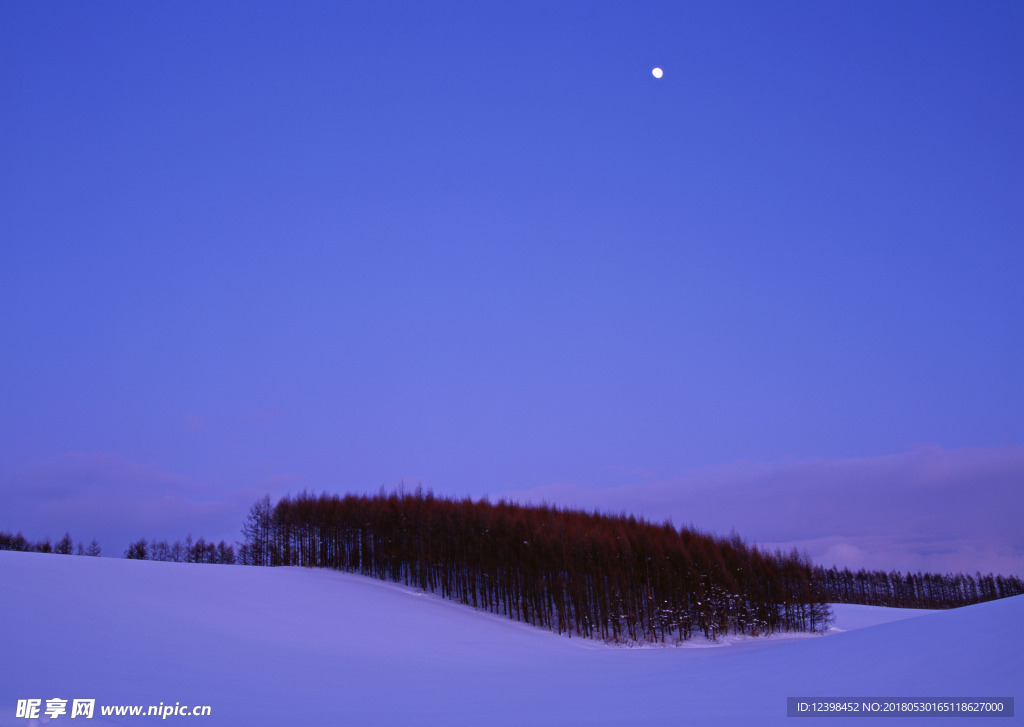 雪夜景色