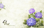 背景底图边花鲜花素材 (11)