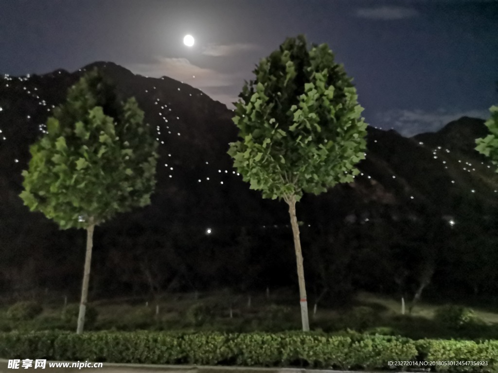 夜景