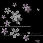花瓣
