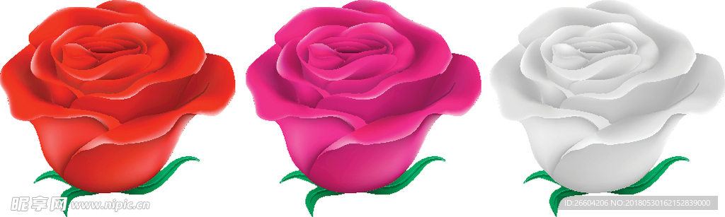 矢量红色玫瑰花