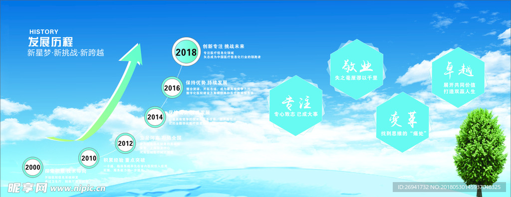 发展历程