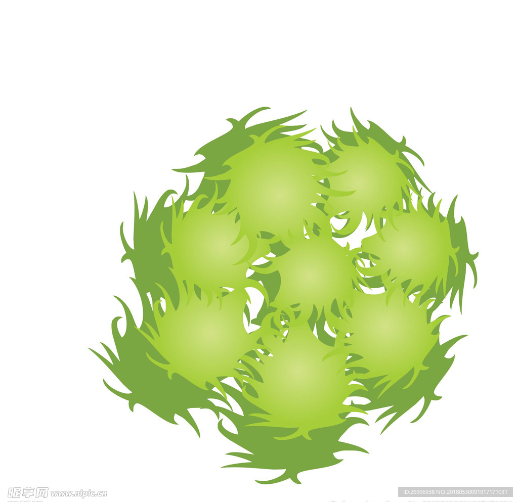 绿树图片