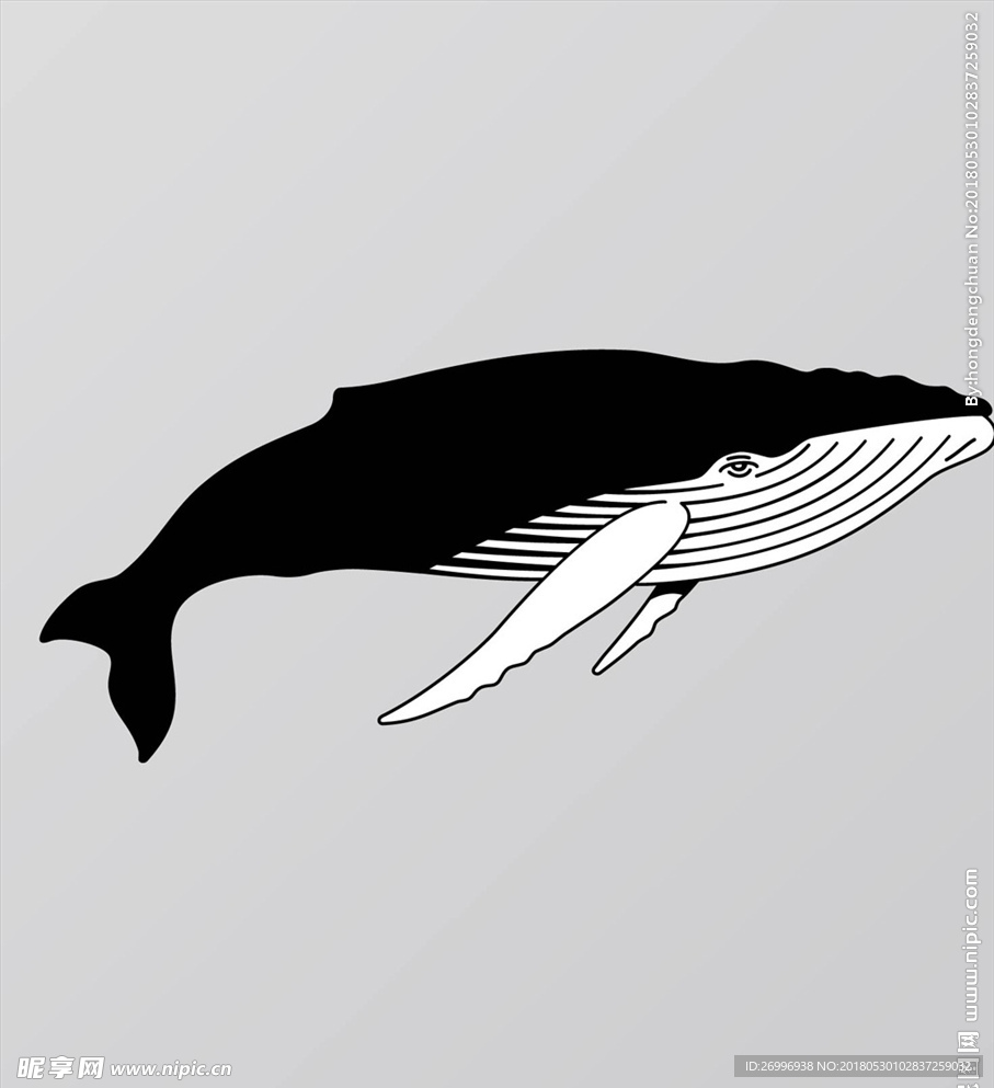 海洋鱼剪影