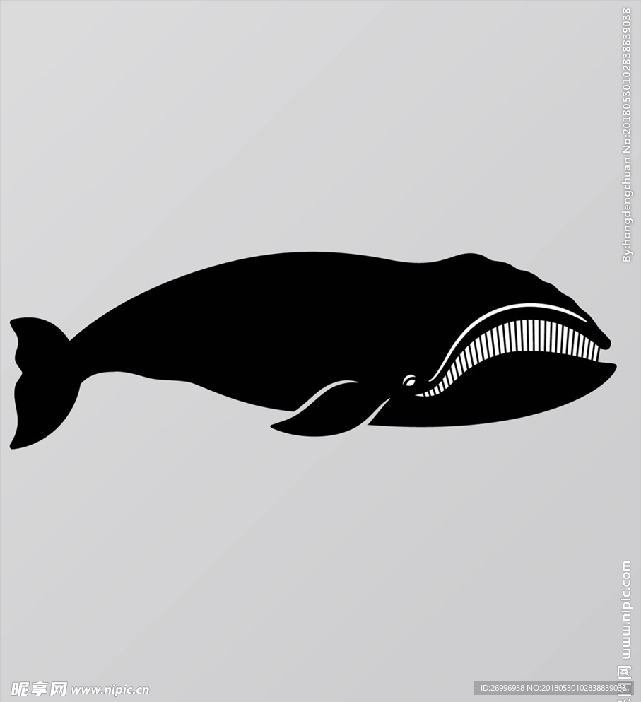 海洋鱼剪影