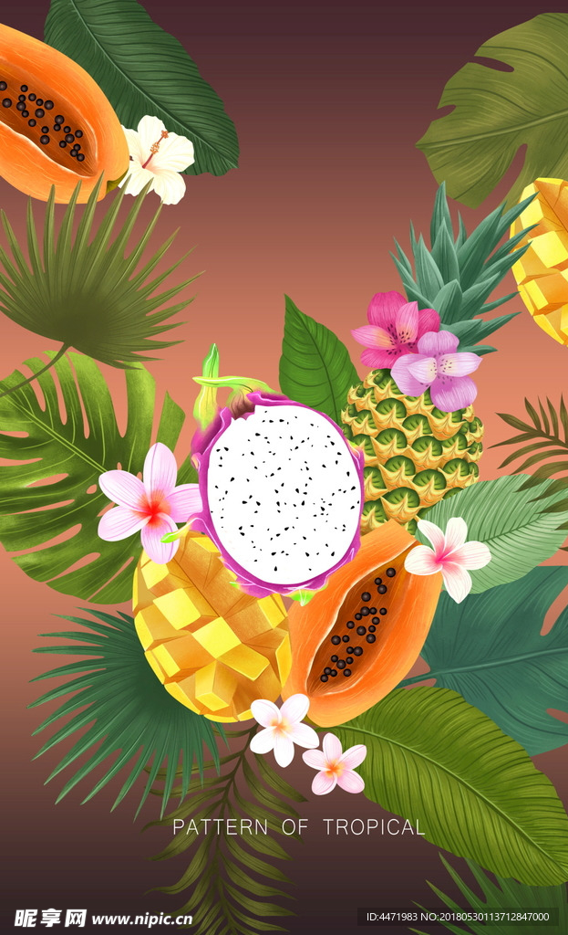 热带 雨林 菠萝 插画 叶子