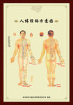 人体经络标准示意图