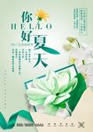 夏天你好