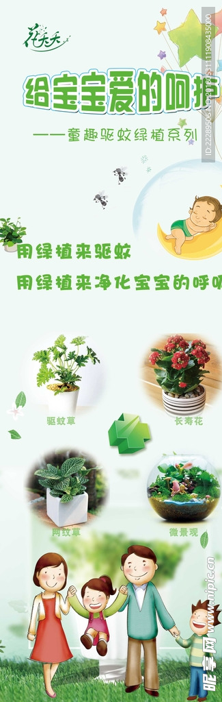 绿植展架