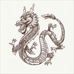 手绘风格中国龙插图