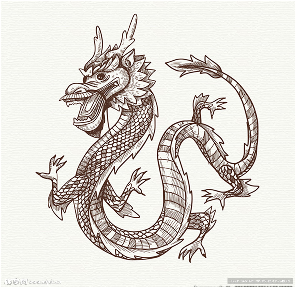 手绘风格中国龙插图