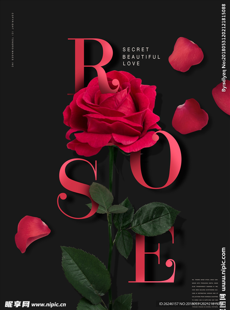 时尚玫瑰鲜花海报背景图片下载