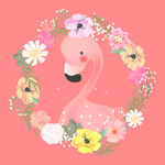火烈鸟插画