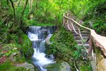 千岛湖 千岛 瀑布 森林 桥