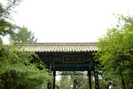 西安之行（黄帝陵）
