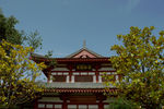 西安之行（华清宫）