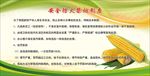 安全防火禁烟制度