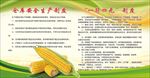仓库安全生产制度