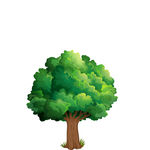 树