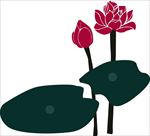菏花矢量图