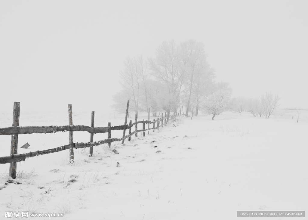 雪  雪地 冬季