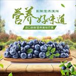 清新简约春夏水果蓝莓主图直通车