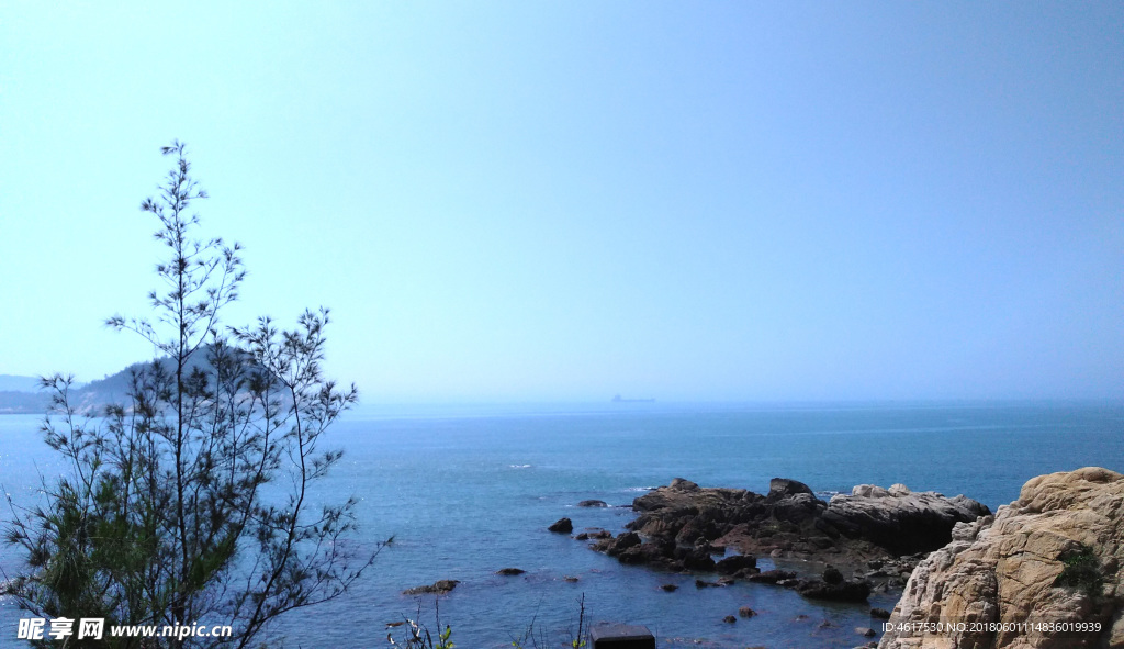 海