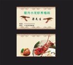 龙虾名片
