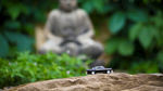 绿色风景图片 自然风光图片