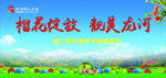 石榴背景