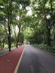 道路