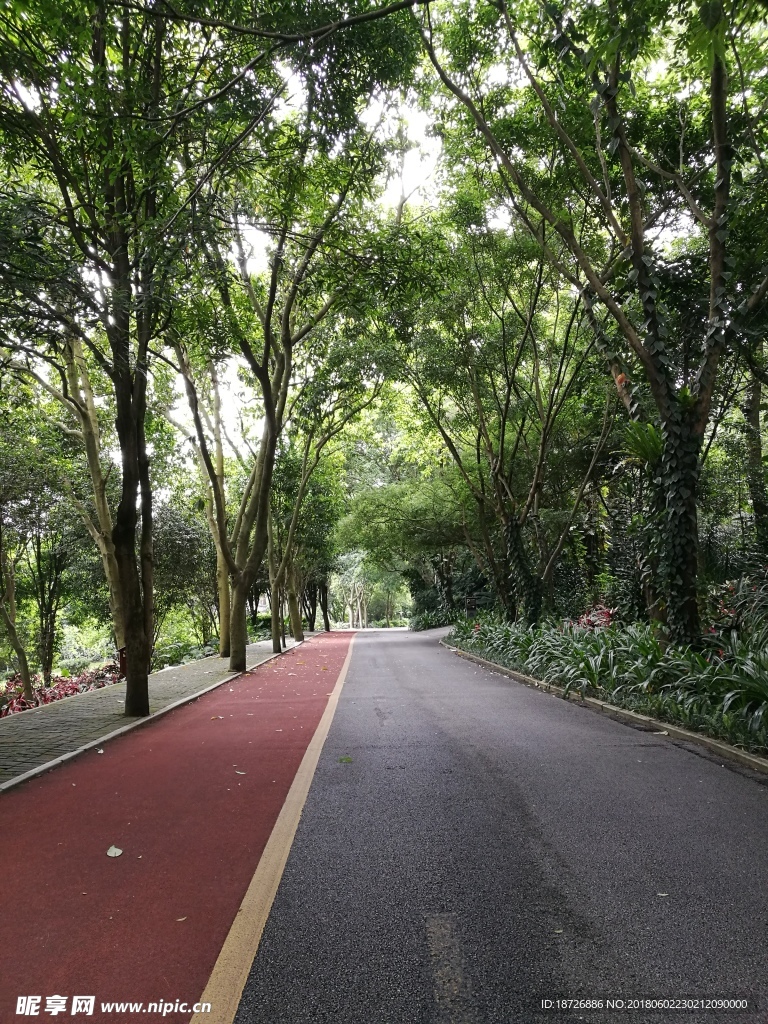 道路