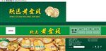 黄金贝