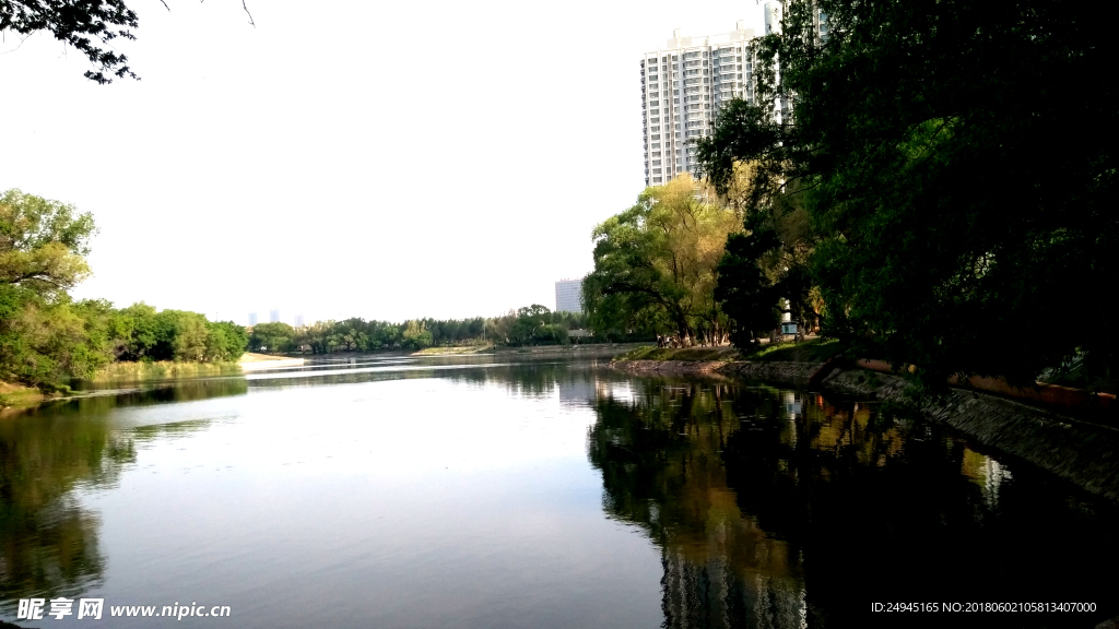 湖水大树