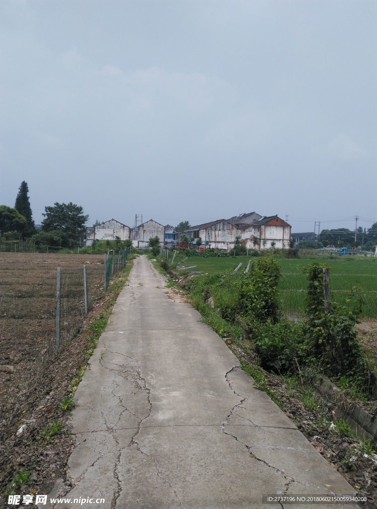 农村风景