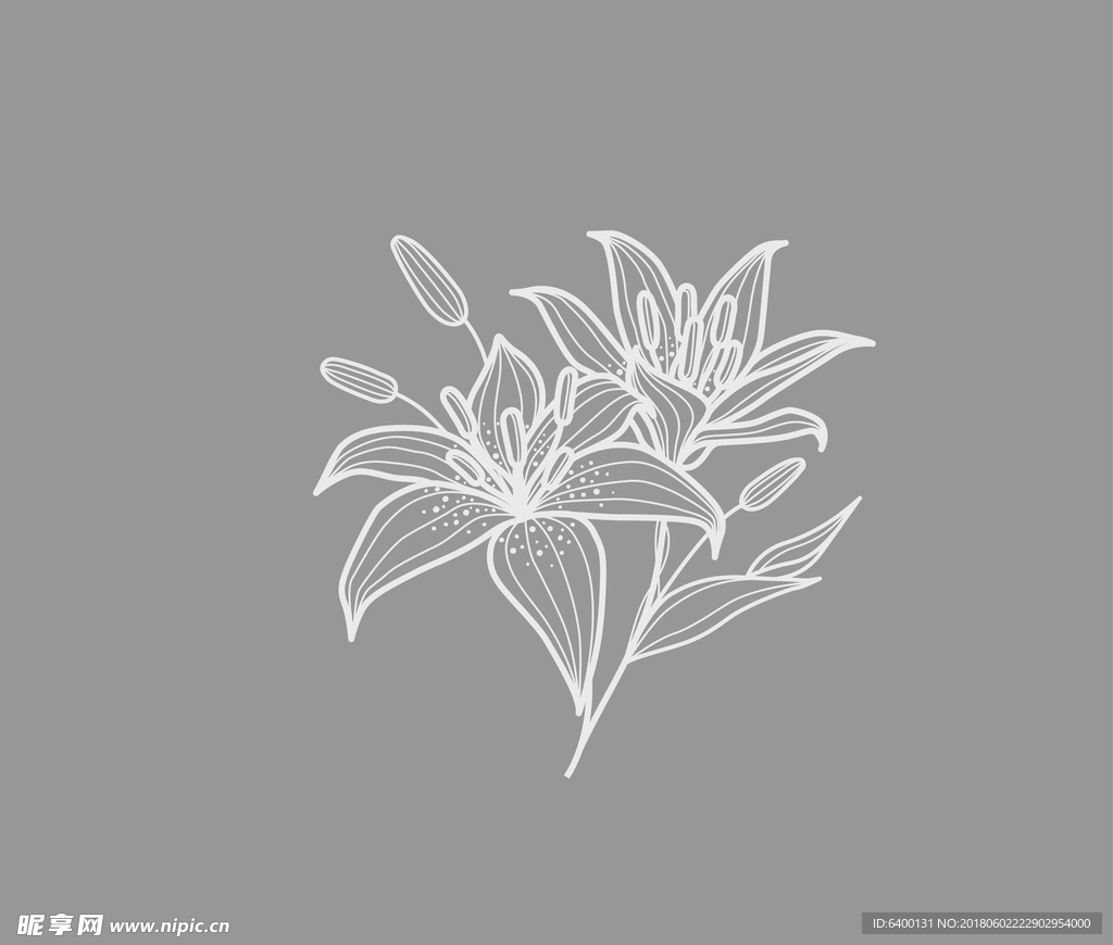 百合花